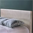 Furniture of America Nicole Faux Leather Queen Platform Bed in Pearl White