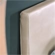 Furniture of America Nicole Faux Leather Queen Platform Bed in Pearl White