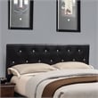 Furniture of America Kylen Faux Leather Queen Platform Bed in Black