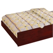 Furniture of America Barnes Transitional Wood Twin Trundle in Cherry