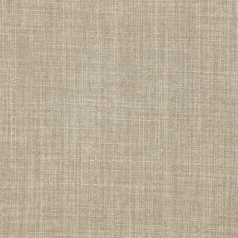 Furniture of America Landon Fabric Side Chair in Ivory and Black (Set of 2)