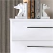Furniture of America Rayland Contemporary Wood 5-Drawer Chest in Glossy White