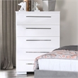 Furniture of America Rayland Contemporary Wood 5-Drawer Chest in Glossy White