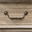 Furniture of America Calpa Solid Wood 5-Drawer Chest in Rustic Natural Tone