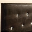 Furniture of America Chasidy Faux Leather Full/Queen Headboard in Brown