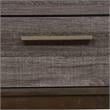 Furniture of America Charlsie Solid Wood 2-Drawer Nightstand in Antique Gray