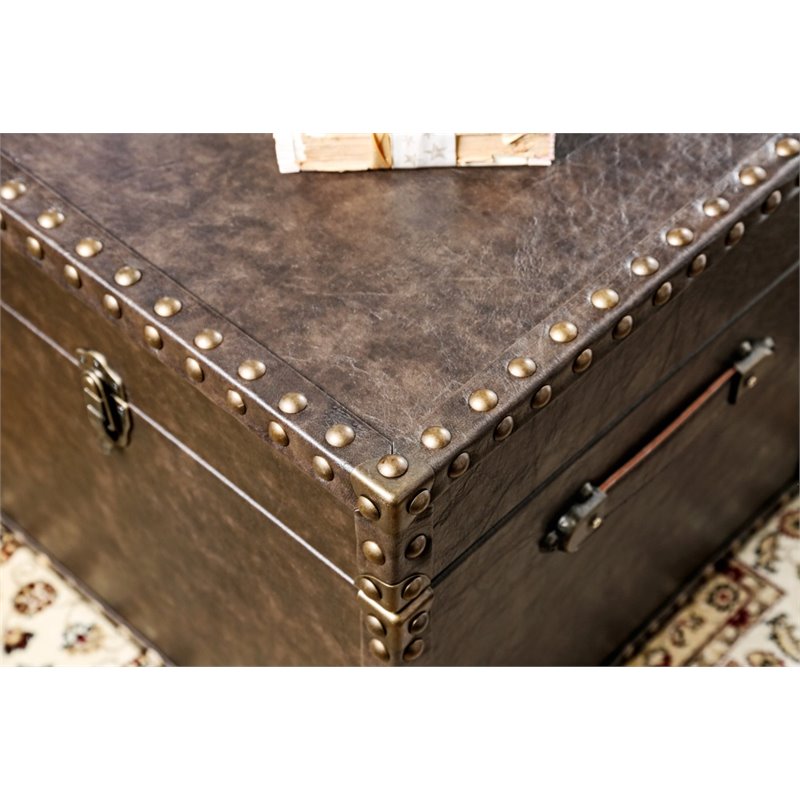 Furniture Of America Lange Faux Leather, Faux Leather Trunk