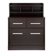 Furniture of America Jonah Wood Multi-Storage Filing Cabinet in Cappuccino