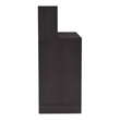 Furniture of America Jonah Wood Multi-Storage Filing Cabinet in Cappuccino