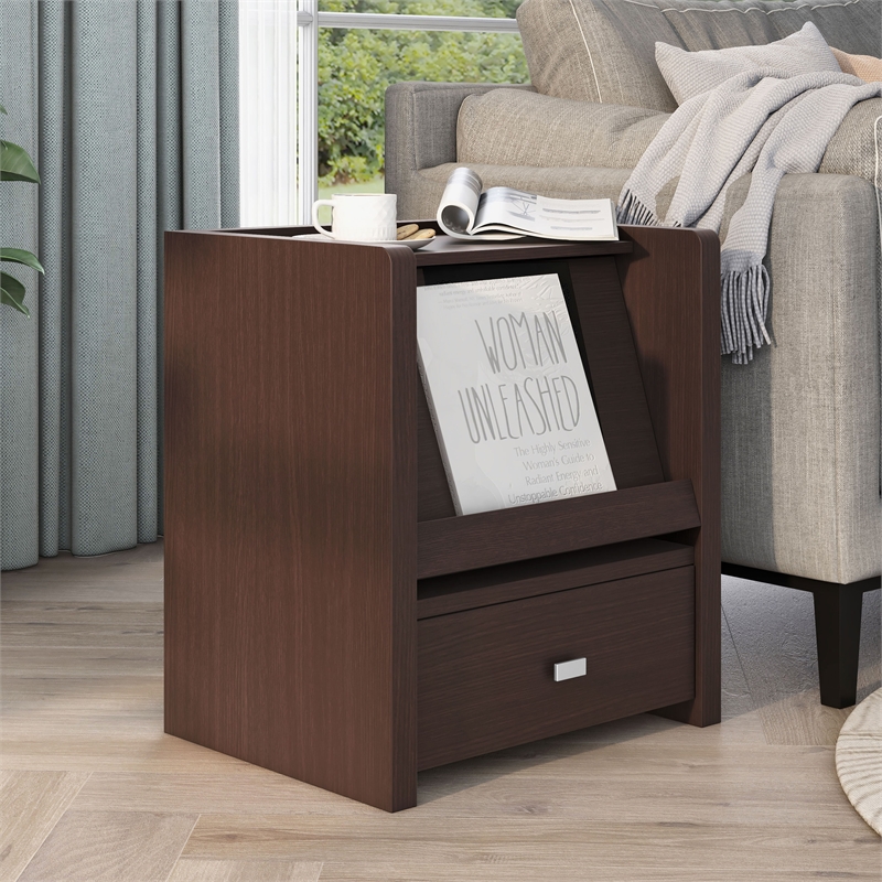 Furniture of America Debrah Contemporary Wood Open Shelf End Table in Walnut