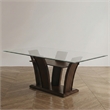 Furniture of America Waverly Glass Top Rectangle Dining Table in Brown Cherry