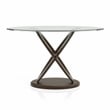 Furniture of America Darbunic Contemporary Wood Console Table in Dark Walnut