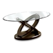 Furniture of America Darbunic Wood 3-Piece Coffee Table Set in Dark Walnut