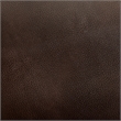 Furniture of America Marta Top Grain Leather Reclining Loveseat in Brown