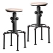Furniture of America Zina Industrial Metal Bar Stool in Antique Black (Set of 2)