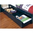 Furniture of America Barnes Transitional Wood Twin Trundle in Blue