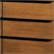 Furniture of America Belkor Solid Wood 6-Drawer Dresser and Mirror Set in Oak
