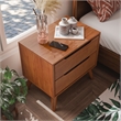 Furniture of America Belkor Mid-Century Modern Wood 2-Drawer Nightstand in Oak