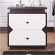 Furniture of America Reynard Contemporary Wood 2-Drawer End Table in Walnut