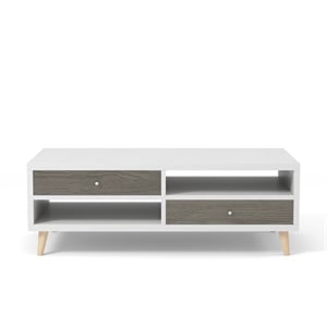 Furniture of America Crayton Wood 2-Drawer Coffee Table in White and Dark Gray