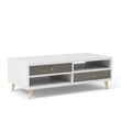 Furniture of America Crayton Wood 2-Drawer Coffee Table in White and Dark Gray