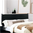 Furniture of America Belkor Solid Wood Queen Platform Bed in Black
