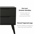Furniture of America Belkor Mid-Century Modern Wood 2-Drawer Nightstand in Black