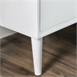 Furniture of America Belkor Mid-Century Modern Wood 2-Drawer Nightstand in White