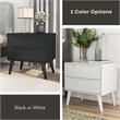 Furniture of America Belkor Mid-Century Modern Wood 2-Drawer Nightstand in White
