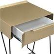 Furniture of America Eva Contemporary Metal 1-Drawer End Table in Gold Champagne