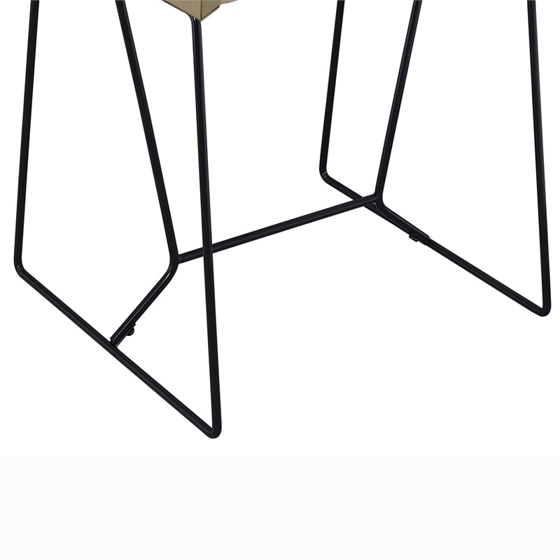 Furniture of America Eva Contemporary Metal 1-Drawer End Table in Gold Champagne