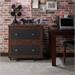 Furniture of America Waterford Wood 2-Drawer File Cabinet in Vintage Walnut
