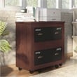Furniture of America Waterford Wood 2-Drawer File Cabinet in Vintage Walnut