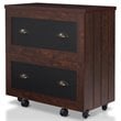 Furniture of America Waterford Wood 2-Drawer File Cabinet in Vintage Walnut