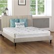 Furniture of America Kya Fabric 9-Inch Cal King Euro Top Mattress in White