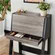 Furniture of America Gase Farmhouse Wood Fold Down Desk in Distressed Gray/Black