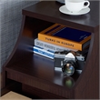 Furniture of America Moshe Modern Wood Storage End Table in Walnut