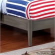 Furniture of America Belkor Solid Wood Twin Platform Bed in Gray