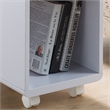 Furniture of America Grayso Engineered Wood 1-Drawer End Table in White