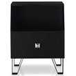 Furniture of America Jilah Modern Wood Storage End Table in Black