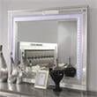 Furniture of America Xulu Wood 2-Piece Dresser and Mirror Set in Silver