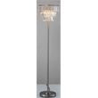 Furniture of America Belle Contemporary Metal Floor Lamp in Light Silver