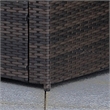 Furniture of America Daley Rattan Patio Left Arm Chair in Brown and Beige