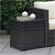 Furniture of America Daley Contemporary Glass Top Patio End Table in Brown