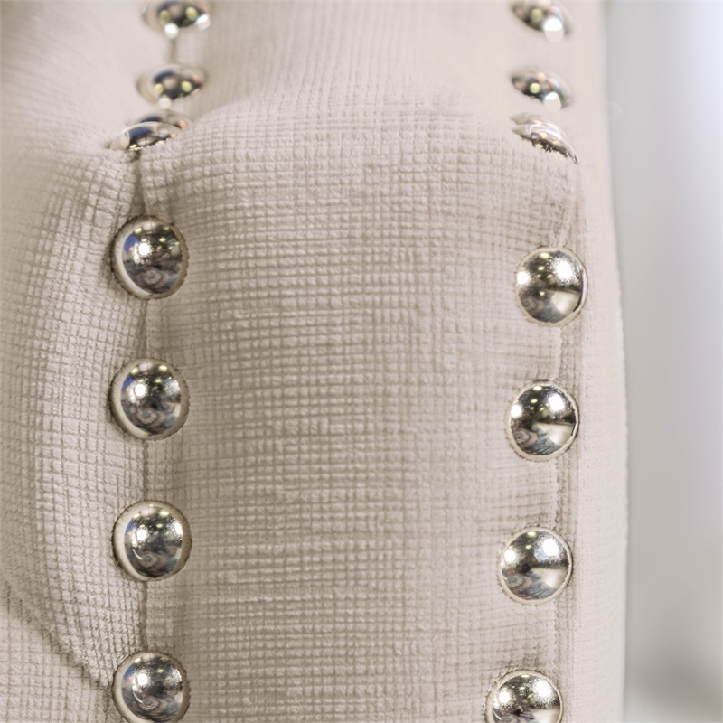 Furniture of America Carrie Microfiber Nailhead Loveseat in Beige