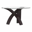 Furniture of America Andy Modern Glass 5-Piece Round Top Dining Set in Black