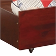 Furniture of America Barnes Transitional Wood Twin Storage Trundle in Cherry