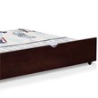 Furniture of America Barnes Transitional Wood Twin XL Trundle in Espresso