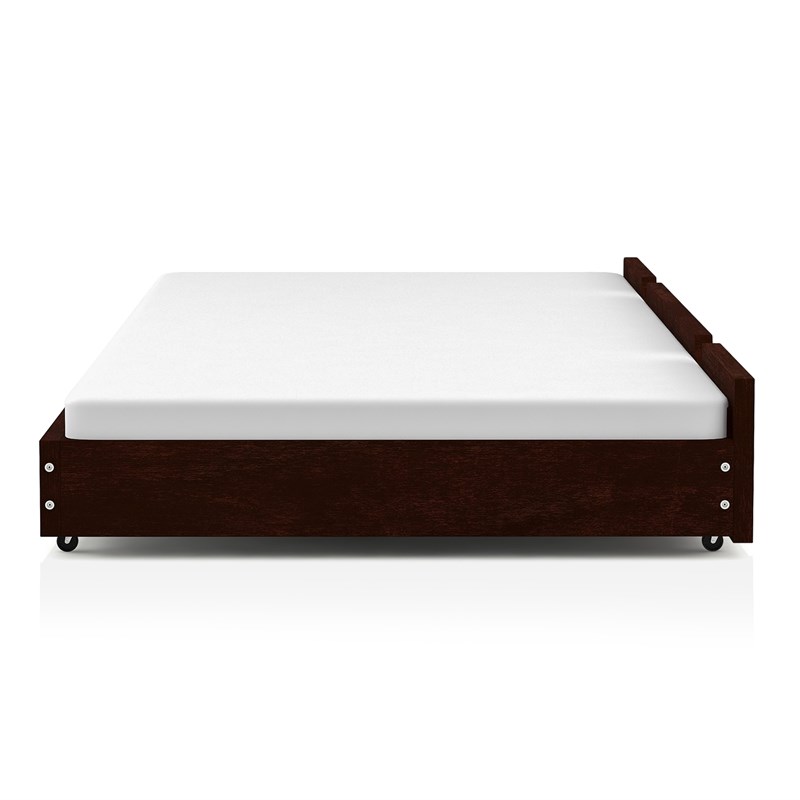 Furniture of America Barnes Transitional Wood Twin XL Trundle in Espresso