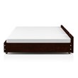 Furniture of America Barnes Transitional Wood Twin XL Trundle in Espresso